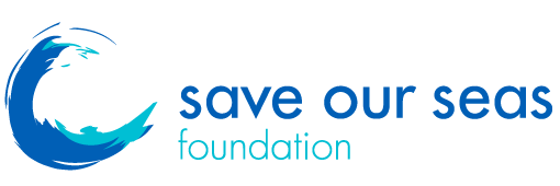 Résultat de recherche d'images pour "save our seas"