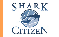 Shark Citizen