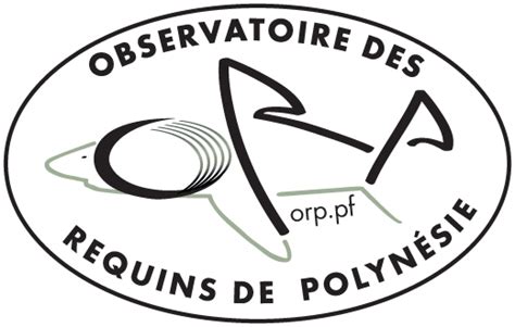 Observatoire des Requins de Polynésie - Faune Sauvage