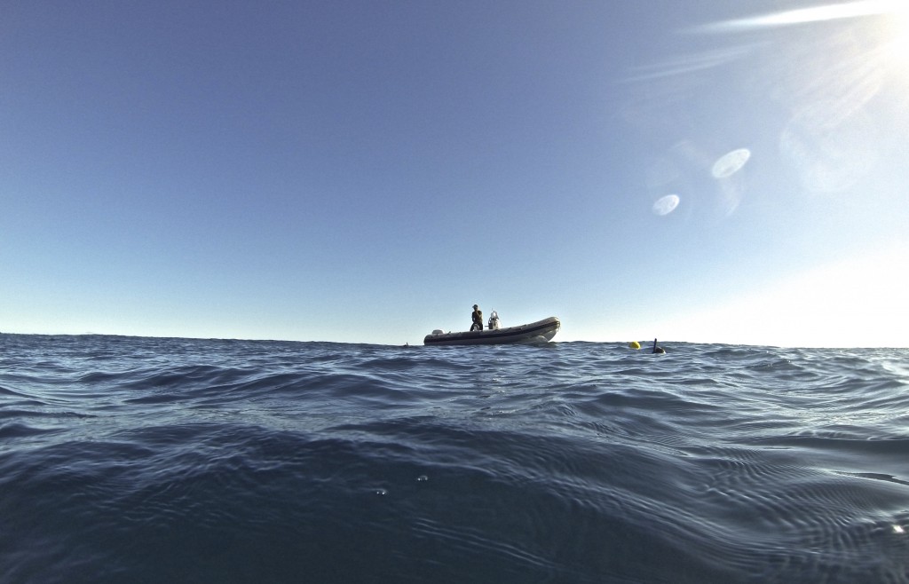 Bateau des vigies de PRR en action. ©Leloup