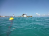 Aquatek à La Réunion ?