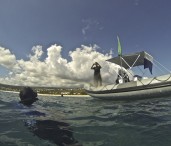 Vigies requins, phase 2 : la vidéosurveillance