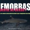 Bilan de ReMORRAS 1.0