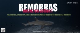 Bilan de ReMORRAS 1.0