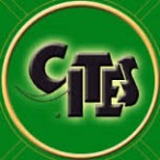 CITES – Nouveautés pour les requins et raies mantas. CITES – Nouveautés pour les requins et raies mantas.