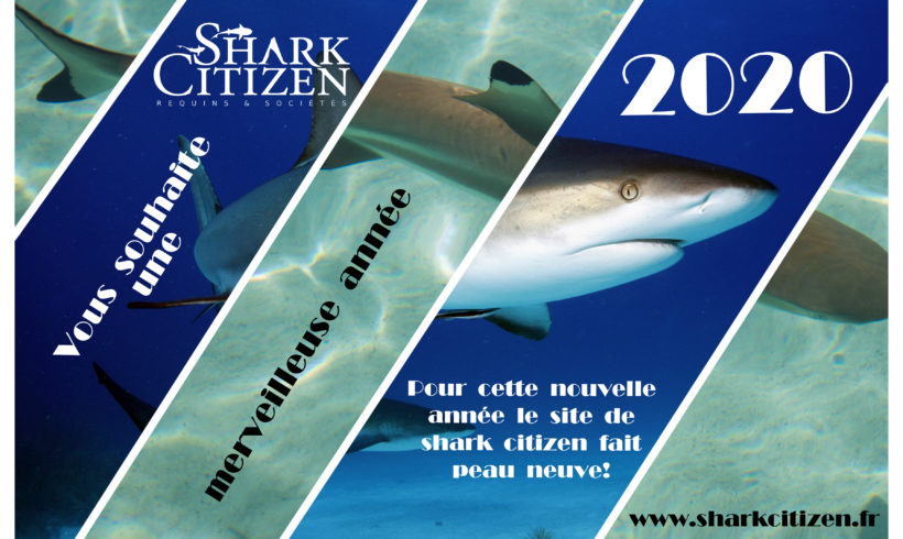 Meilleurs voeux 2020