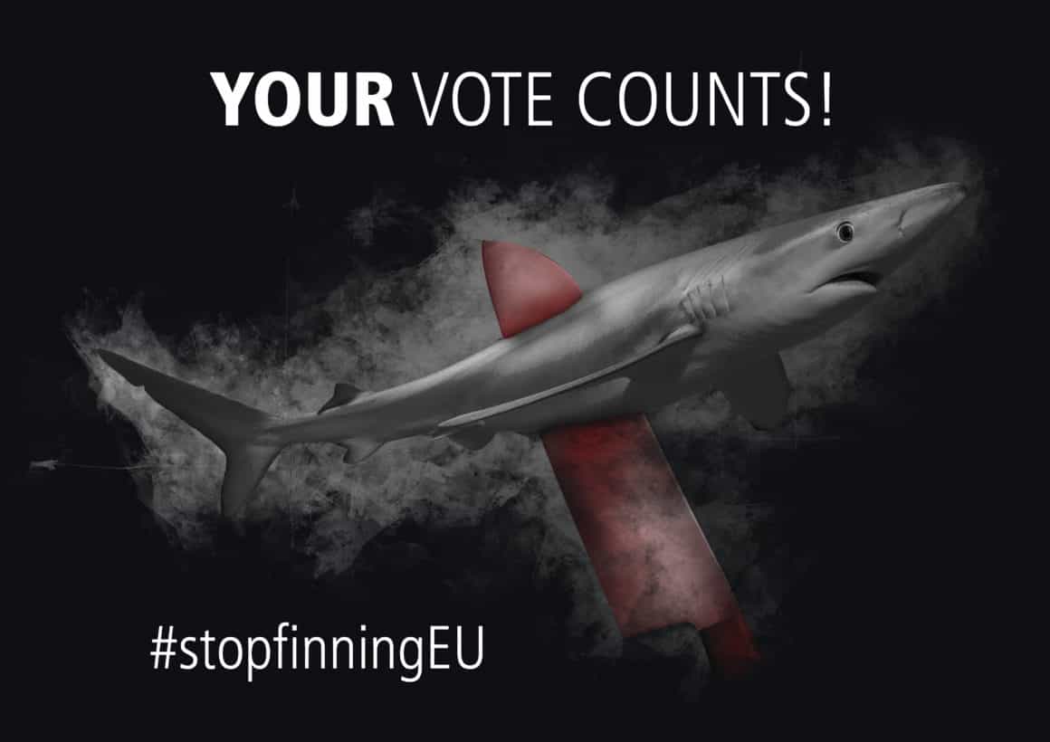 Initiative citoyenne pour les requins en Europe