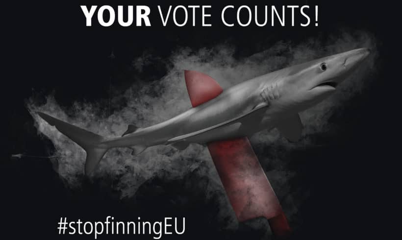 Initiative citoyenne pour les requins en Europe