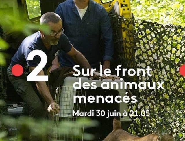 Sur le front des animaux menacés