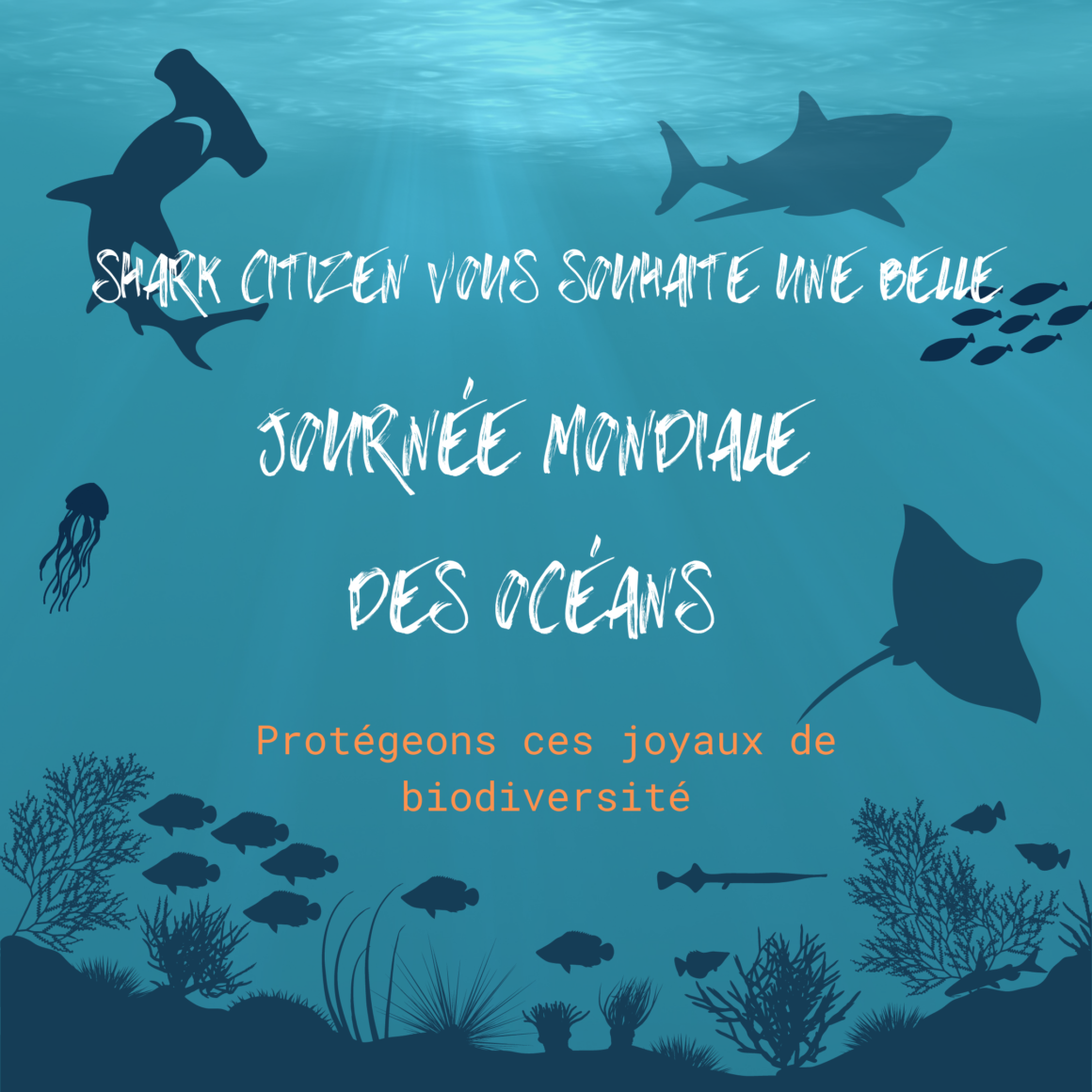 Journée mondiale des océans