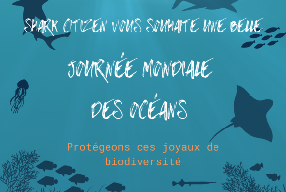 Journée mondiale des océans Journée mondiale des océans