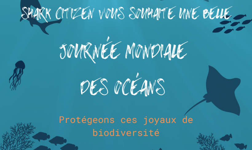 Journée mondiale des océans