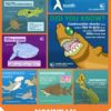 Partenariat Living World Education