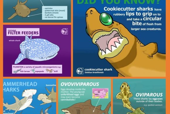 Partenariat Living World Education Partenariat Living World Education