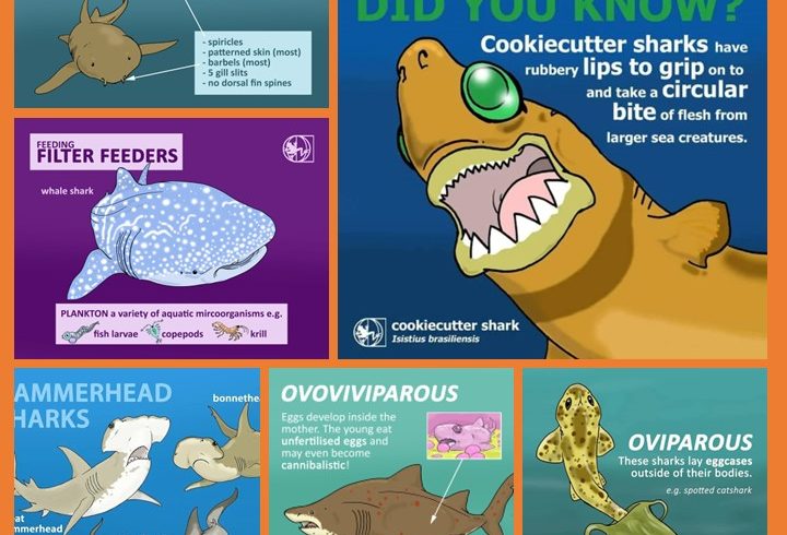 Partenariat Living World Education Partenariat Living World Education