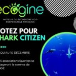 Votez sur Ecogine pour Shark Citizen