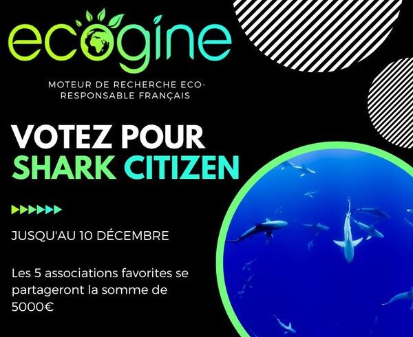 Votez sur Ecogine pour Shark Citizen