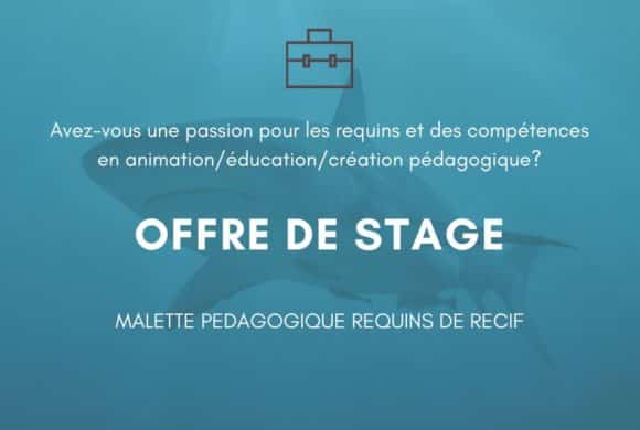 OFFRE DE STAGE – MALETTE PEDAGOGIQUE OFFRE DE STAGE – MALETTE PEDAGOGIQUE