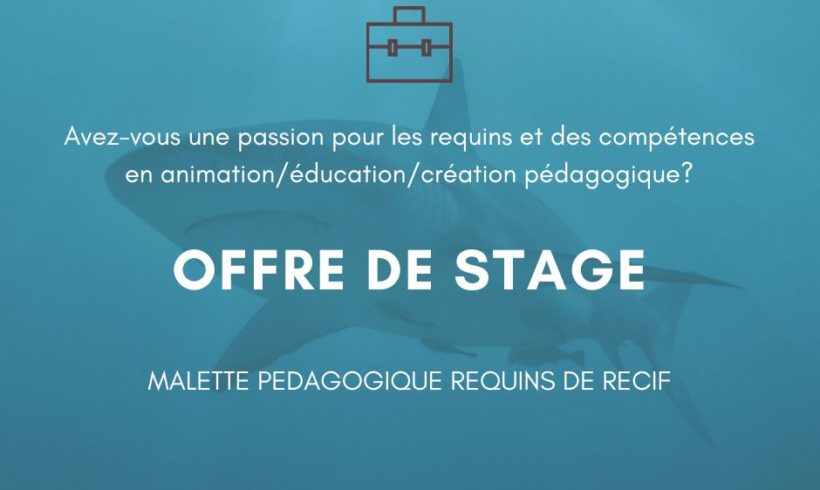 OFFRE DE STAGE – MALETTE PEDAGOGIQUE OFFRE DE STAGE – MALETTE PEDAGOGIQUE